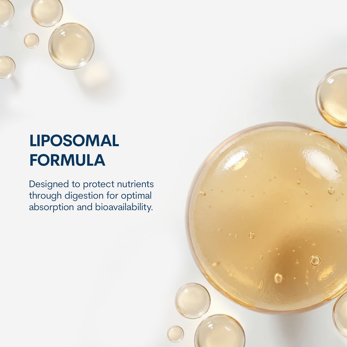 Liposomal Curcumin 500 mg - Capsules (60 Count/ 30 Servings)