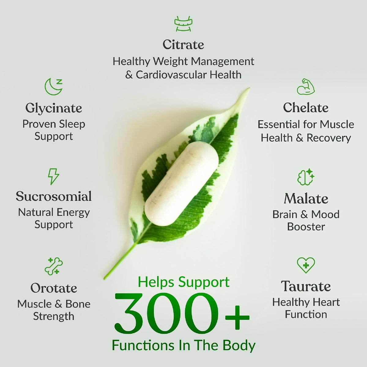 BIOptimizers Magnesium Breakthrough 500mg
