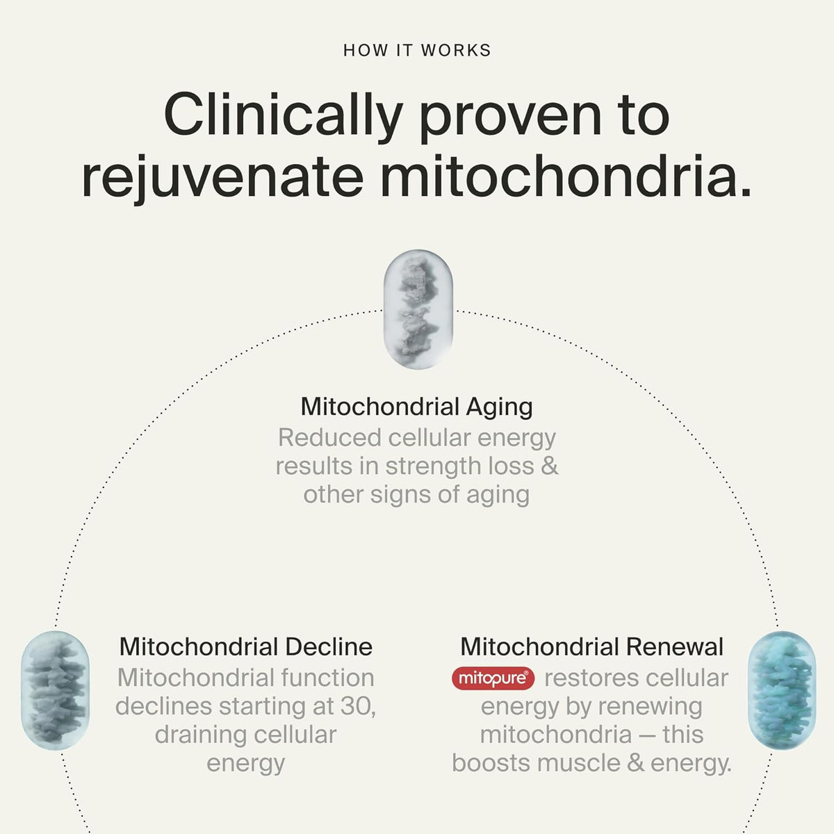 Time-Line Mitopure Urolithin A Longevity Supplement 60 Softgels