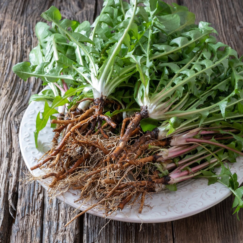 Dandelion Greens & Roots Elixir