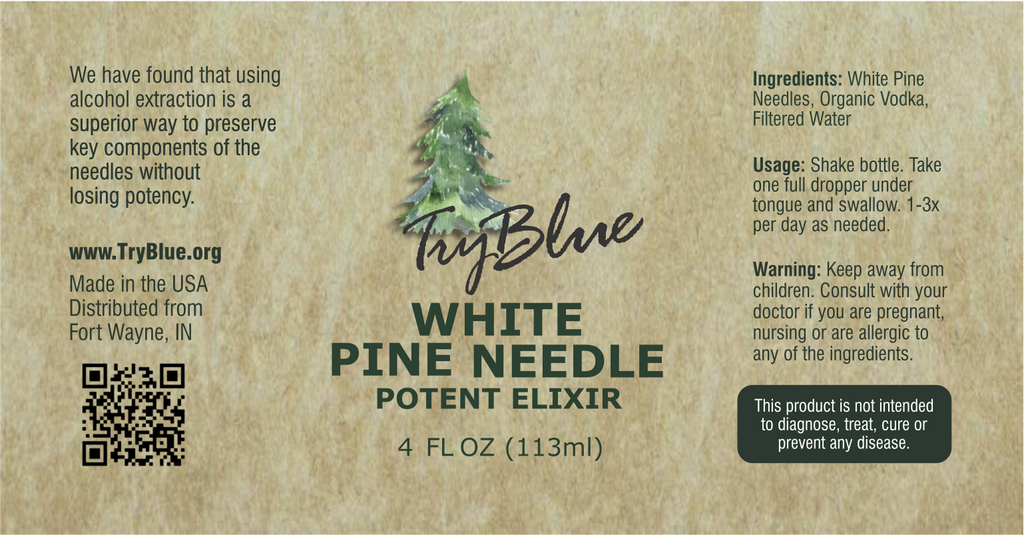 White Pine Needle Elixir