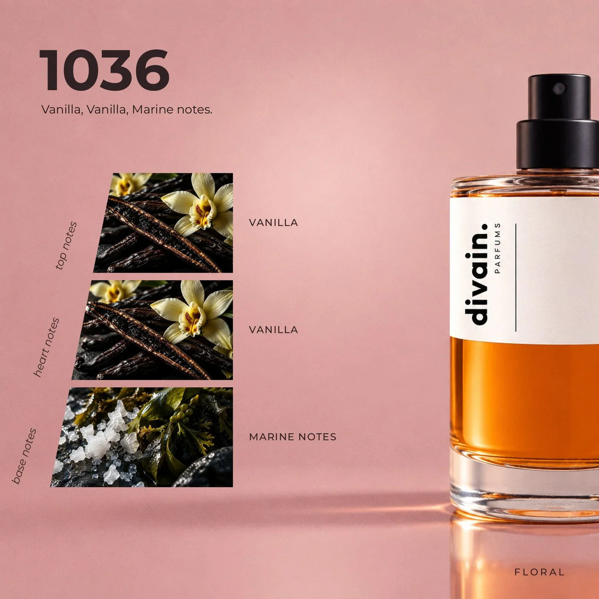 divain. 1036