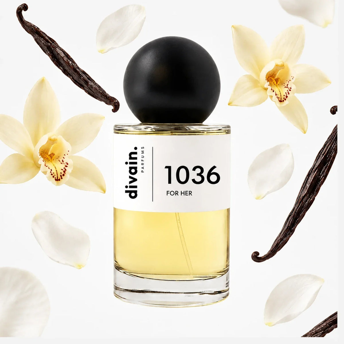 divain. 1036