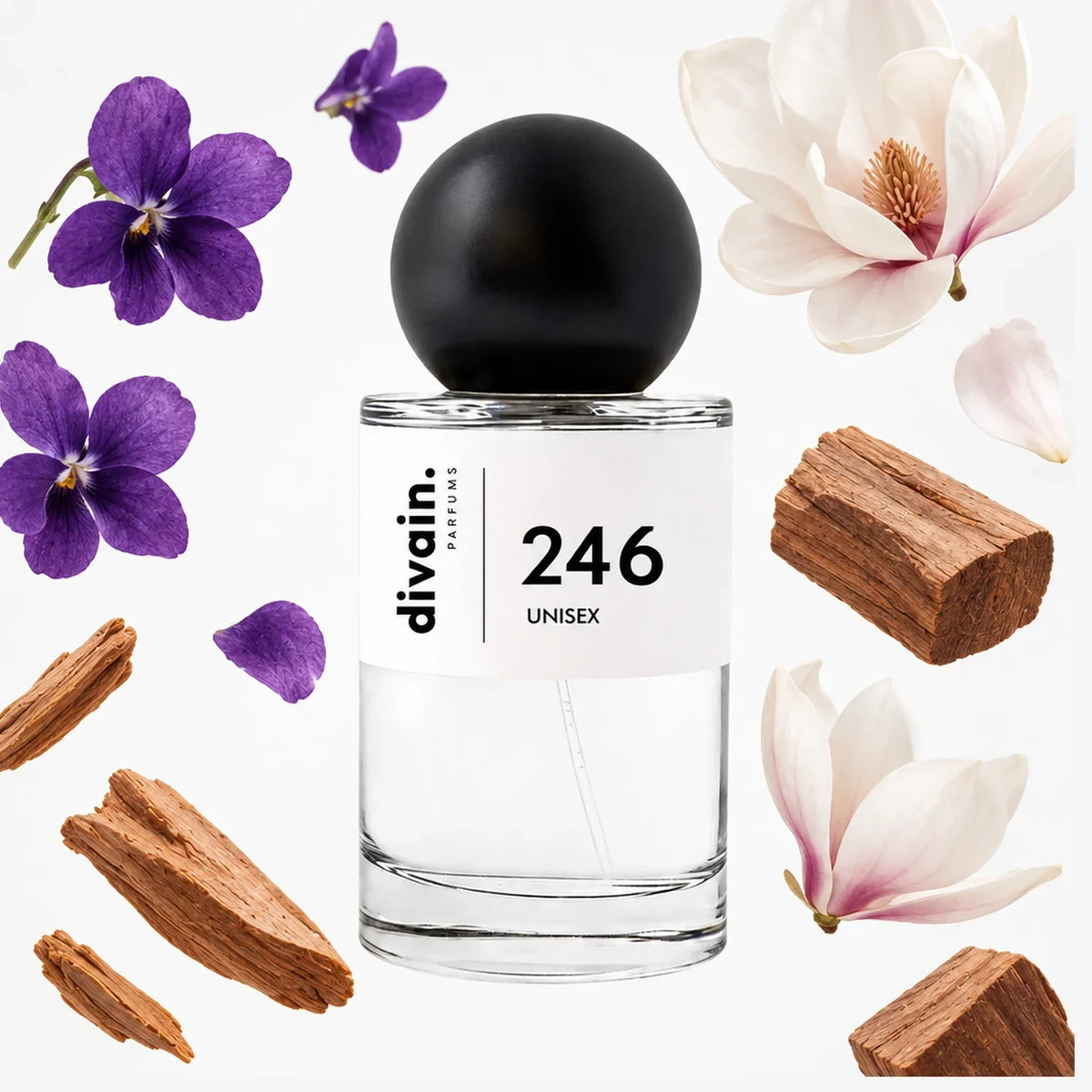 divain. 246