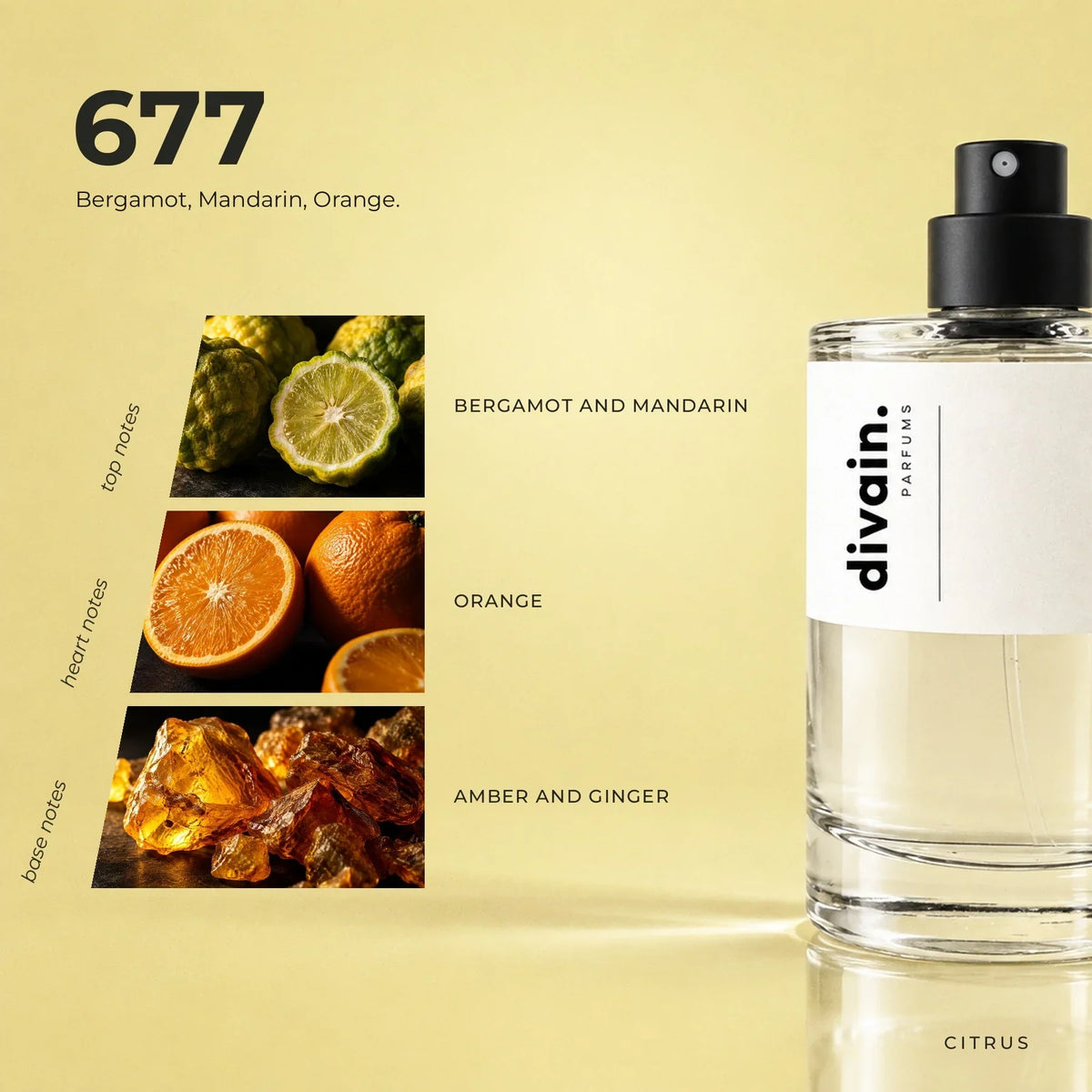 divain. 677