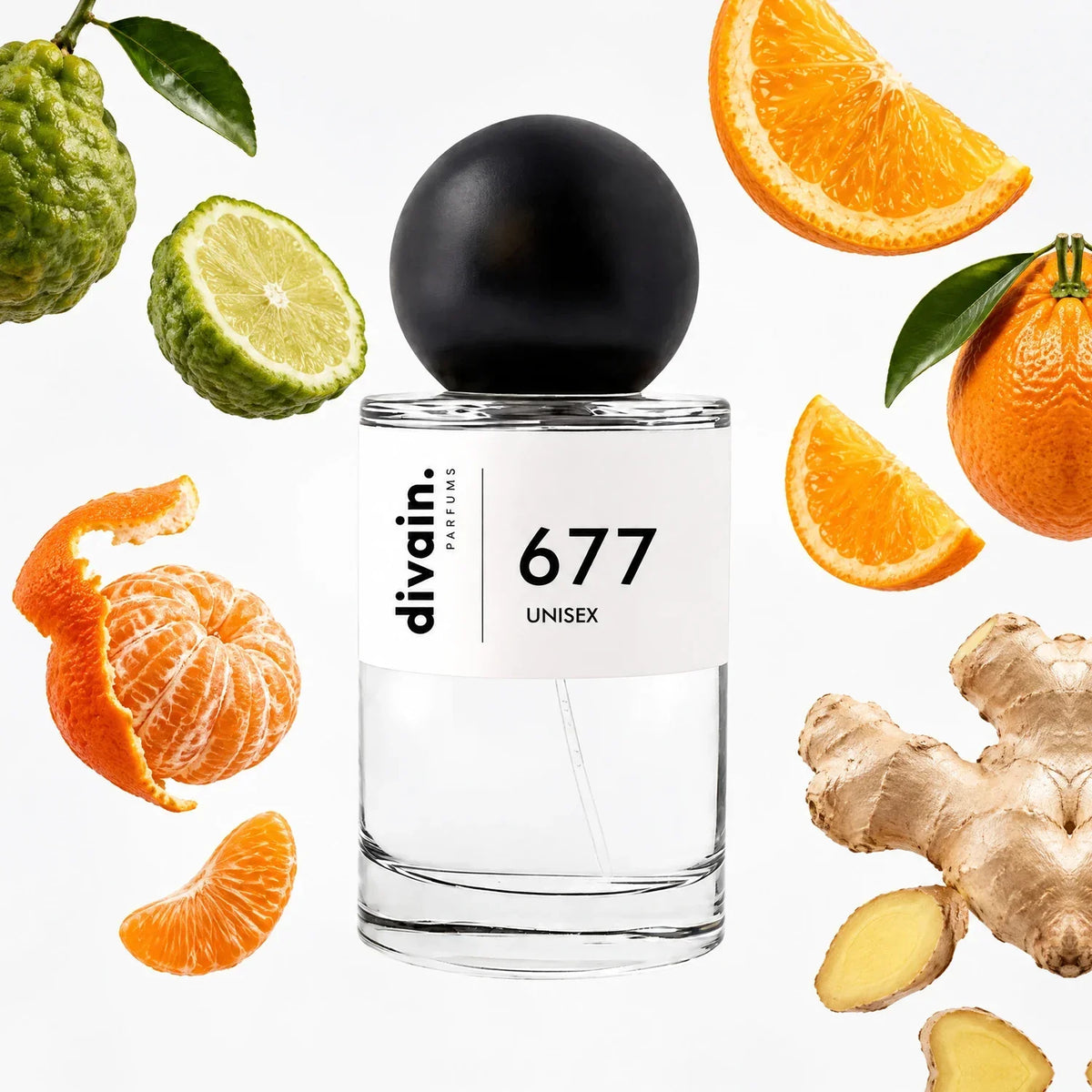 divain. 677