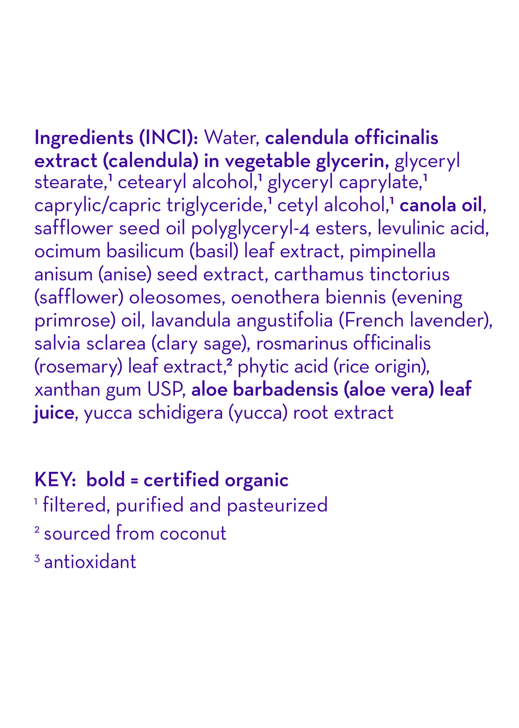 Calming™ Everyday Lotion